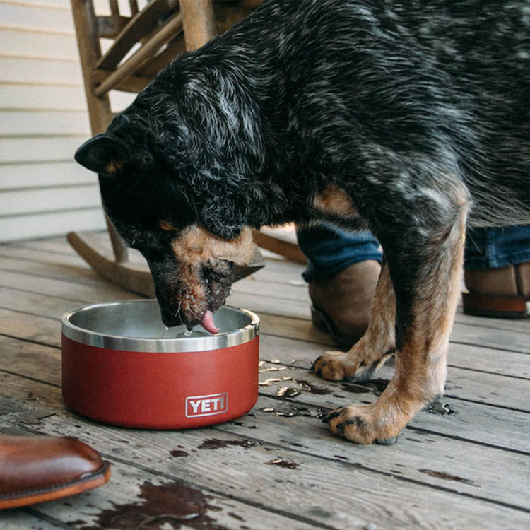 Yeti Boomer 8 Dog Bowl